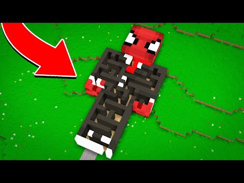 FERİTED LABİRENTİ - Minecraft