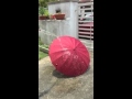 Video Image