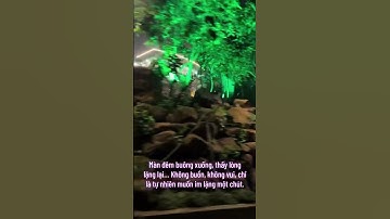 Cà phê VÂN NGUYỆT CÁC. Đồi mây Lộc Thành - BẢO LỘC - săn mây- Nguyễn An Nhơn