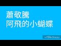 蕭敬騰 阿飛的小蝴蝶 歌詞版 蕭敬騰 阿飛的小蝴蝶 歌詞版