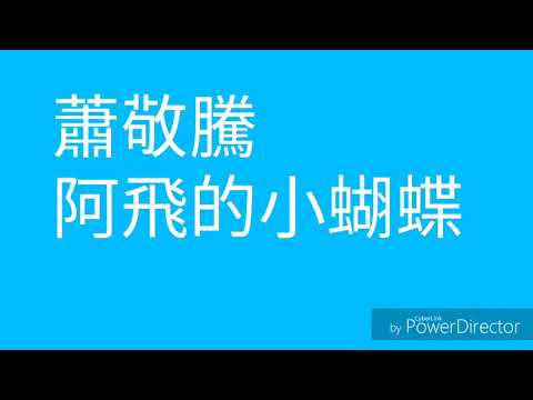 蕭敬騰 阿飛的小蝴蝶 歌詞版