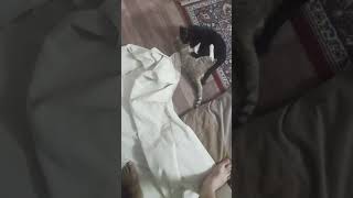 ۲ اکتبر ۲۰۲۵