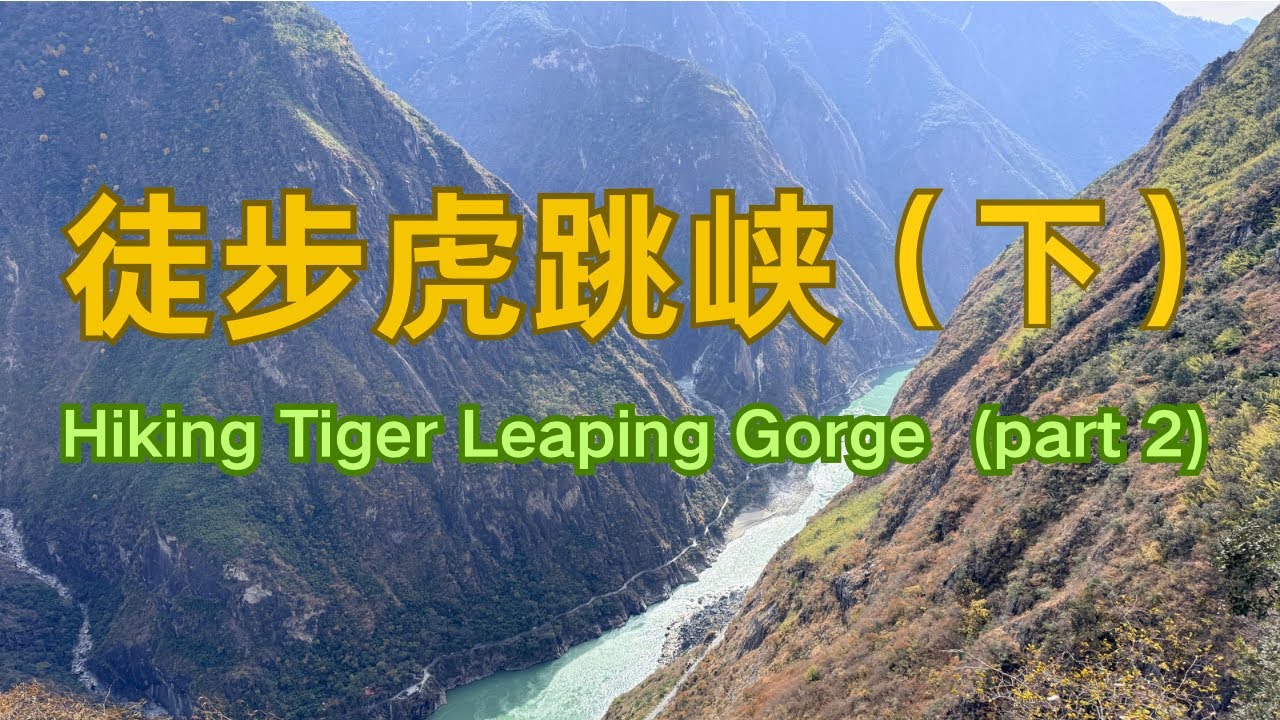 云南香格里拉 | 徒步虎跳峡（下） | 中途客栈——张老师客栈 | Hiking Tiger Leaping Gorge (Part 2） | 全程记录 | 在路上，我被山羊抢走了零食！！！