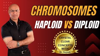 Basics of Chromatids | Haploid vs Diploid Chromosomes🦠