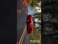BMW drifting king #phonk #phonkmusic #anime #music #funk #automobile #aveeplayerlegend