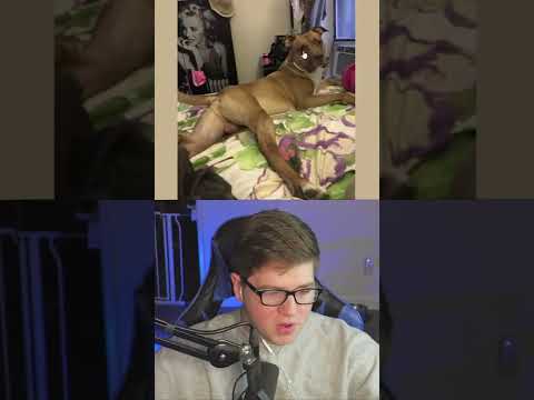 Bad Photoshop Requests...