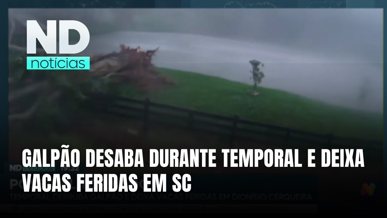 Temporal causa estragos e galpão desaba com vacas em Dionísio Cerqueira