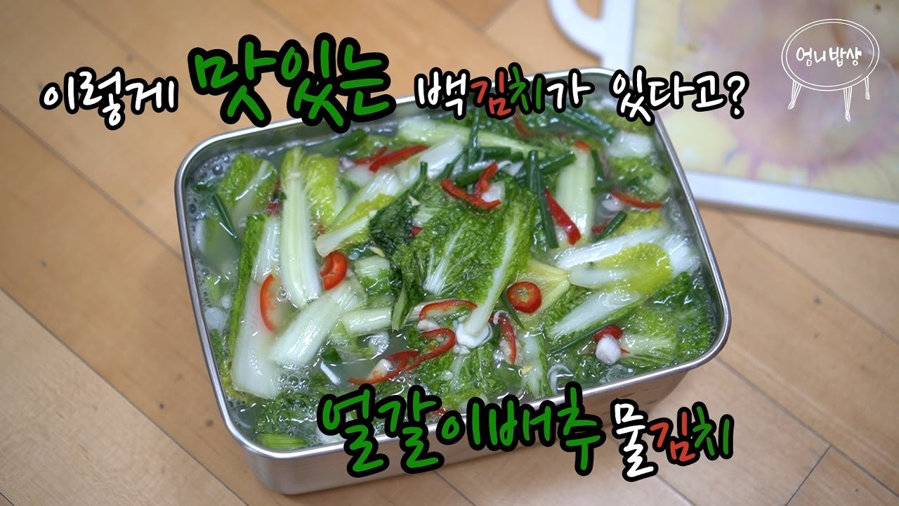 이렇게 맛있는 백김치가 있다고? 백김치의 왕 얼갈이배추물김치