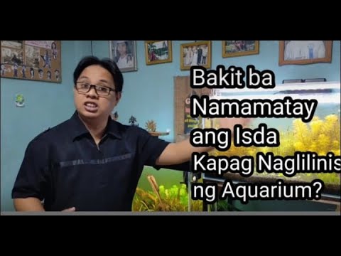 Video: Bakit Namumulaklak Ang Tubig Sa Isang Aquarium?