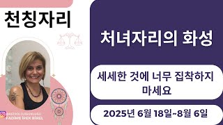 처녀자리의 화성 - 점성가 파딤 비렐 - #양자리 #황소자리 #점성술 #게자리 #한국 #점성술 #한국어