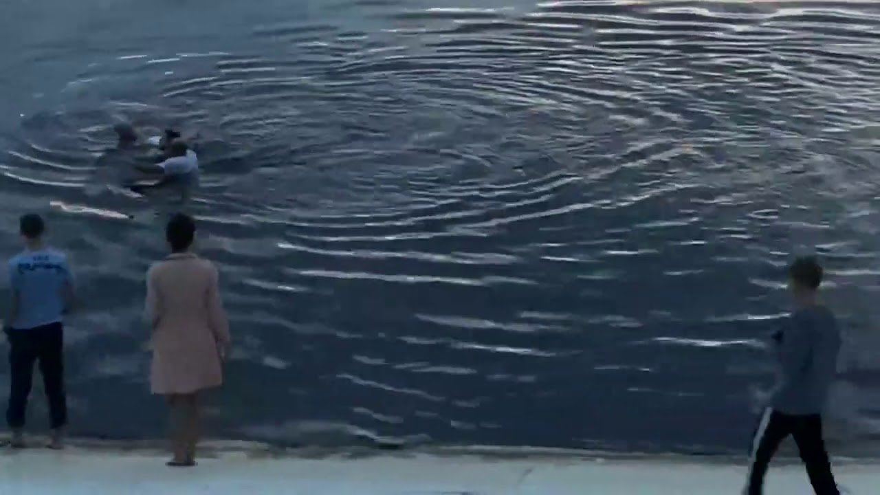 Видео полное жизни. Прыгнул в воду. Девушки купаются в озере. Человек плавает.