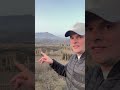 Планируете купить земельный участок в Крыму? У меня есть  участки у моря, которые Вас заинтересуют