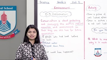 Class 4 - Science - Chapter 05 - Lecture 42 Environment 5.3 - Allied Schools