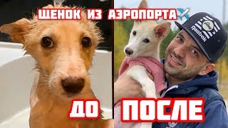:     .    .
