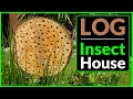 Making an Insect House for the Garden (Out of a LOG)