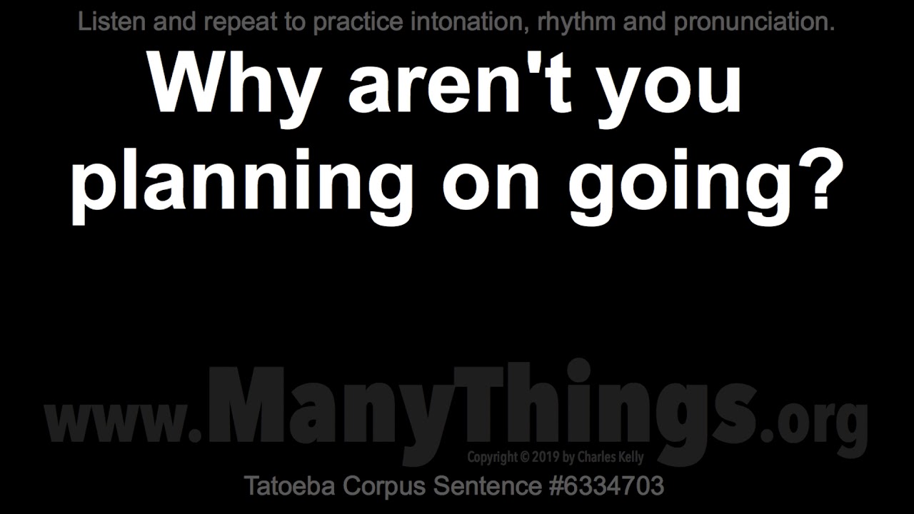 1 500 Why Sentences Part 21 Listen And Repeat YouTube