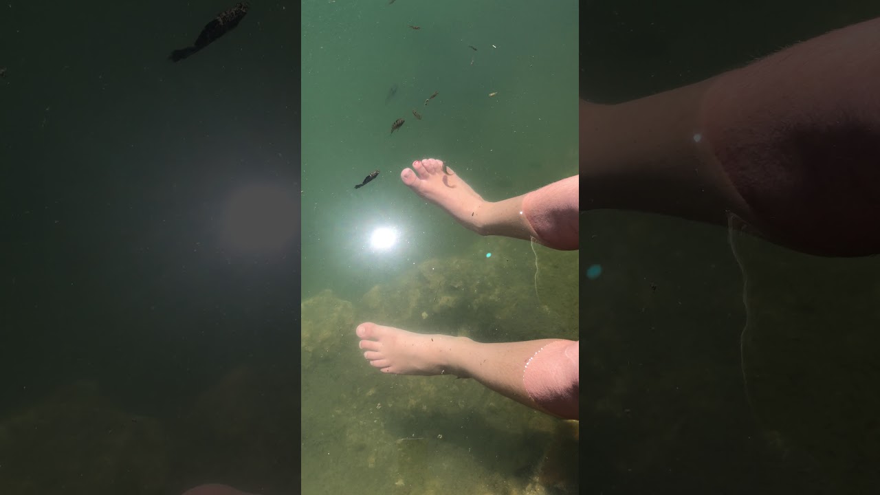 camera iphone 8 plus apk Meadow Hot Springs, Meadow Utah