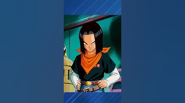 Dokkan Fest Android 17 and 18 Animations