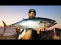 100 cm dev orknosu tek baima yakaladim  welcome to jurassc park shore jigging  vlog 230