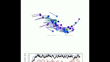 Modeling collective behaviors from optic flow and retinal cues: Video S8