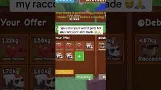 I Gave 6 Divine Pets For His Shiny Raccoon