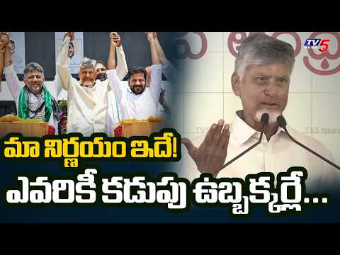 CM Chandrababu Key Comments About Meeting CM Revanth Reddy And CM DK Shivakumar || TV5 - TV5NEWS