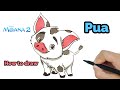 How to Draw Pua from Moana 2 Step by Step