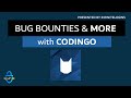Live Interview with Codingo! Working at BugCrowd, Competing with YouTube, and Getting Into Ethical..