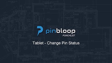 Pinbloop Punchlist - Tablet App Video - Change Status