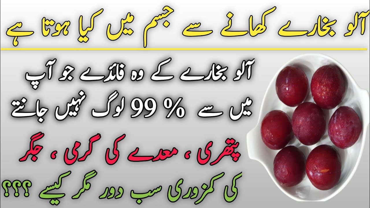 aloo Bukharay ke fayde damson plum tree facts about damson plum damson plum benefits YouTube