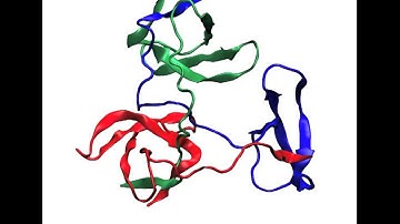 SH3 trimer formation