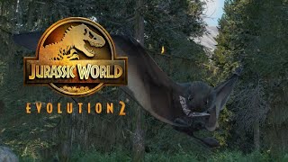 Jocose jeholopterus -  mini JWE2 documentary
