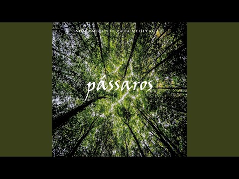 Som Ambiente para Meditação: Pássaros, Pt. 24 bekijken op YouTube