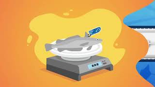 How South Africa Keeps Trawl Bycatch Extremely Low