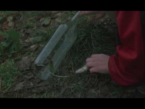 Розетта - Trailer