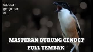 MASTERAN burung cendet tembakan mematikan