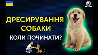 :   ²ֲ  ? |     ² Ѳ
