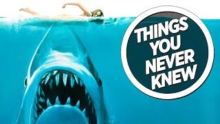 ... subscribe → https://goo.gl/rrq5w7 steven spielberg’s jaws went
on to invent the summer blockbuster, alongside star wars