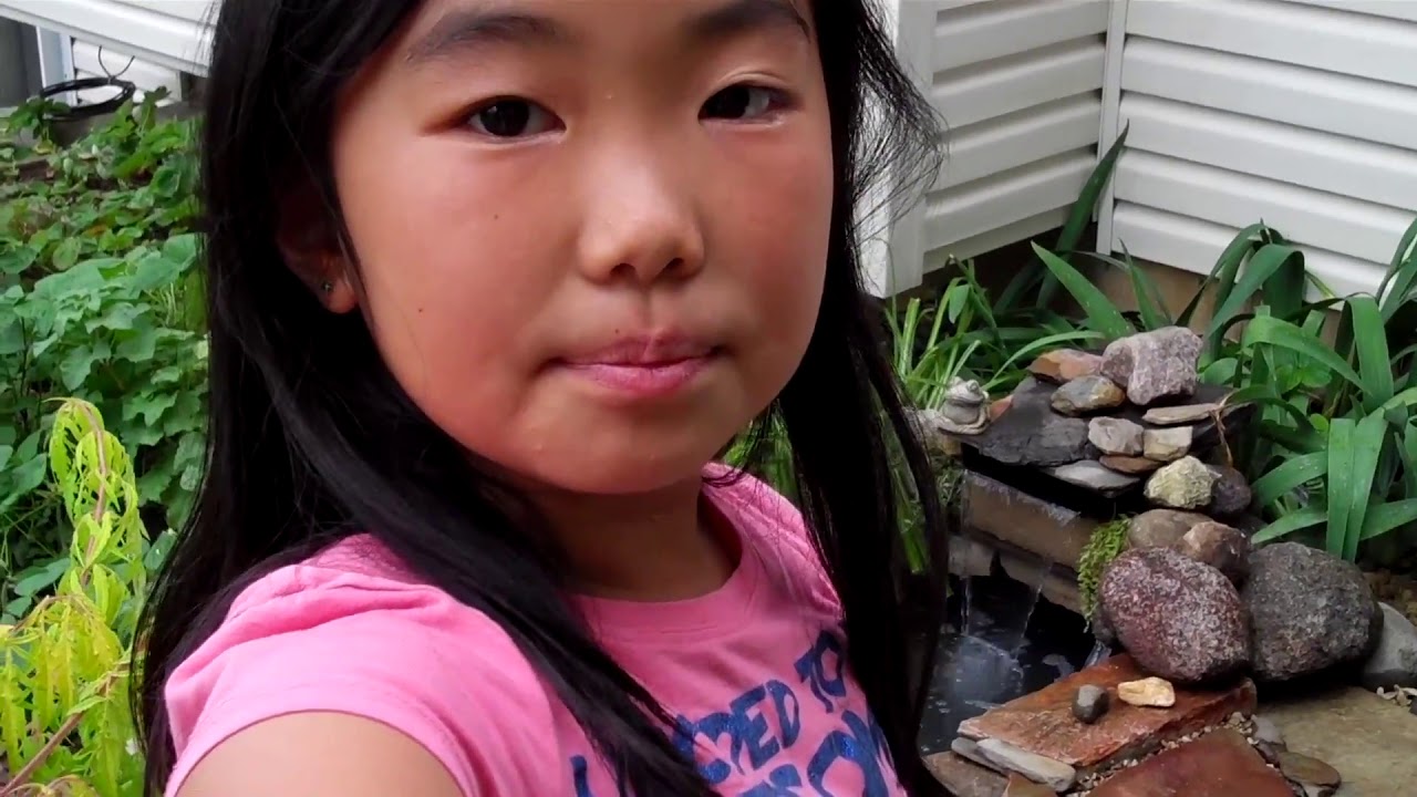Small Backyard Garden Koi & Goldfish Pond Setup - YouTube