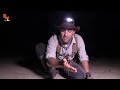 What Happens When You Meet a GIANT Tarantula in the Dark?