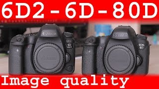Canon 6D mark II vs. 6D vs. 80D image quality