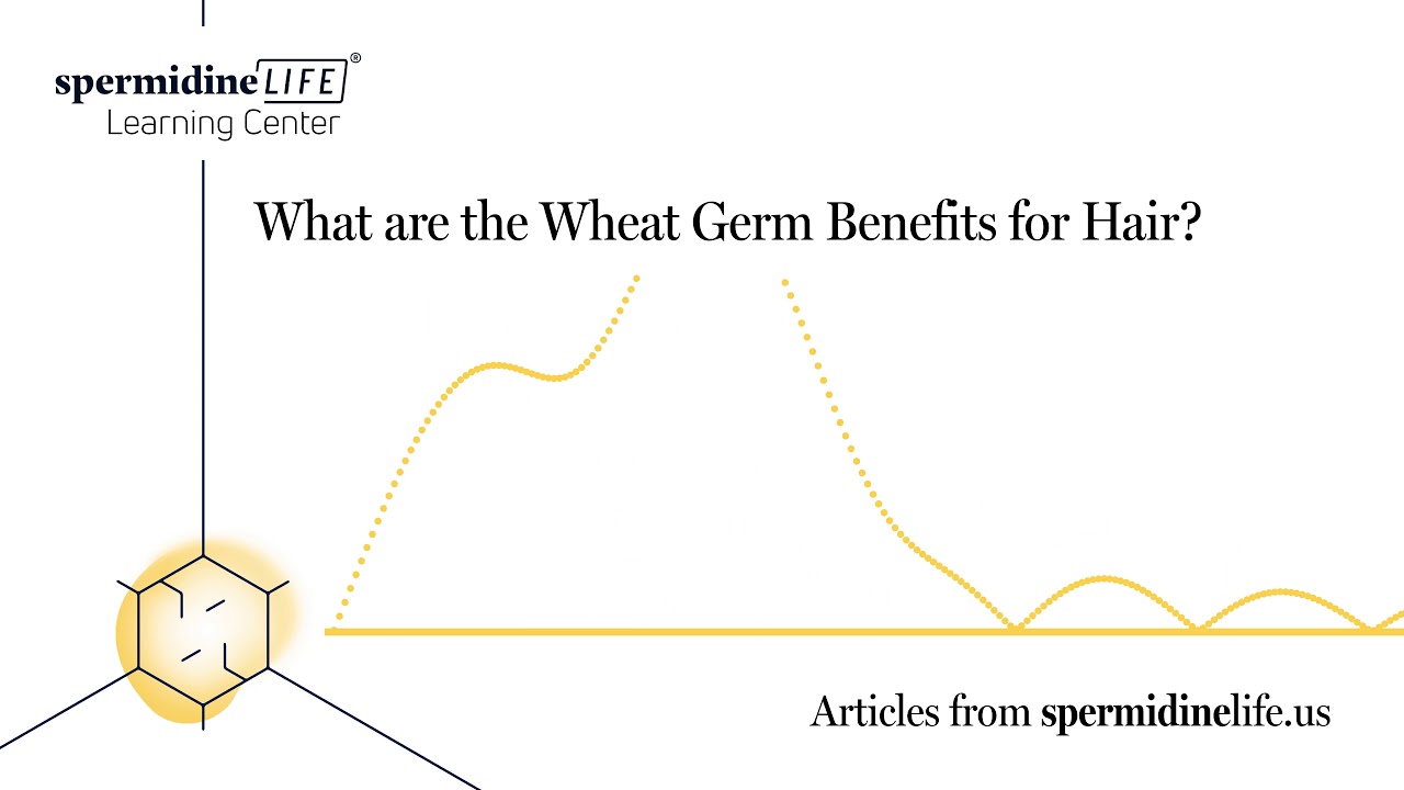 Benefits of Wheat Germ for Hair What is Wheat Germ? Explained YouTube