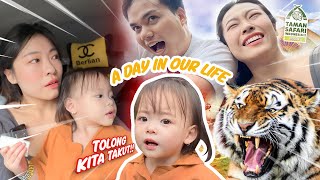 YUKA-CHAN TERJEBAK DIKANDANG HARIMAU TAMAN SAFARI BOGOR | a day in our life