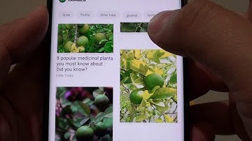Samsung Galaxy S8: How to Search for Similar Images With Bixby Search
