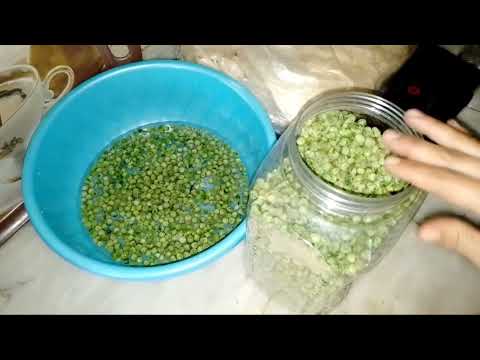 طريقة طبخ البازيلا المجففه من دون ماتفقد طعمها أو يتغير لونها