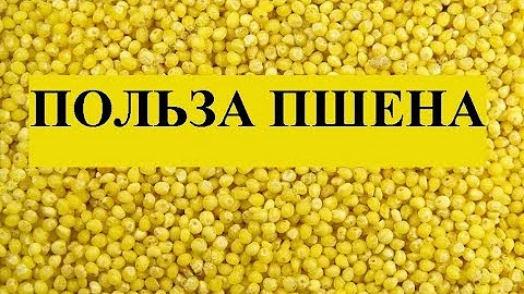 Пшено Вред или Польза. Св-ва Просо.