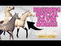 BREEDING SPECIAL *SILVER* HORSES | RIVAL STARS HORSE RAVING