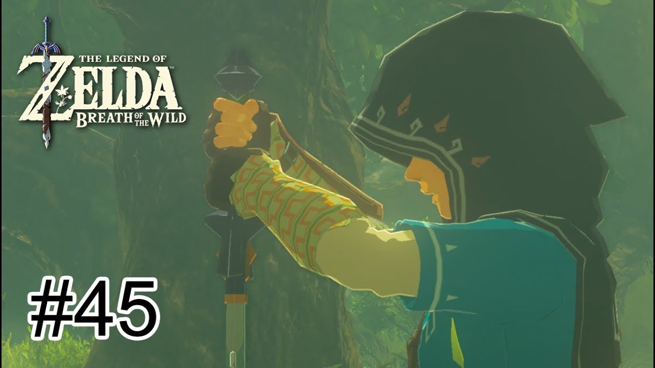 ZELDA BREATH OF THE WILD #45 - TRIAL OF THE SWORD BEGINNING TRIALS (DLC) PARTE 1