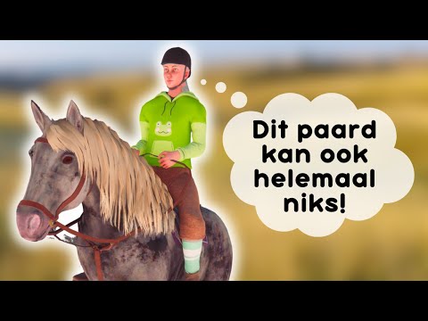 Hoe dit spel me doet geloven dat paarden waardeloos zijn