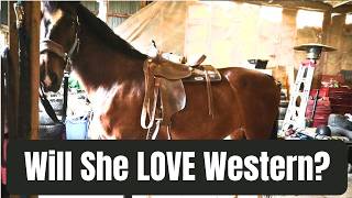 Lady's Western Debut!